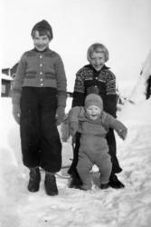 Marta H. Tomter, Helga Prestrud og Kristen Prestrud. Øvre Tomter 1940. Barn, vinter,