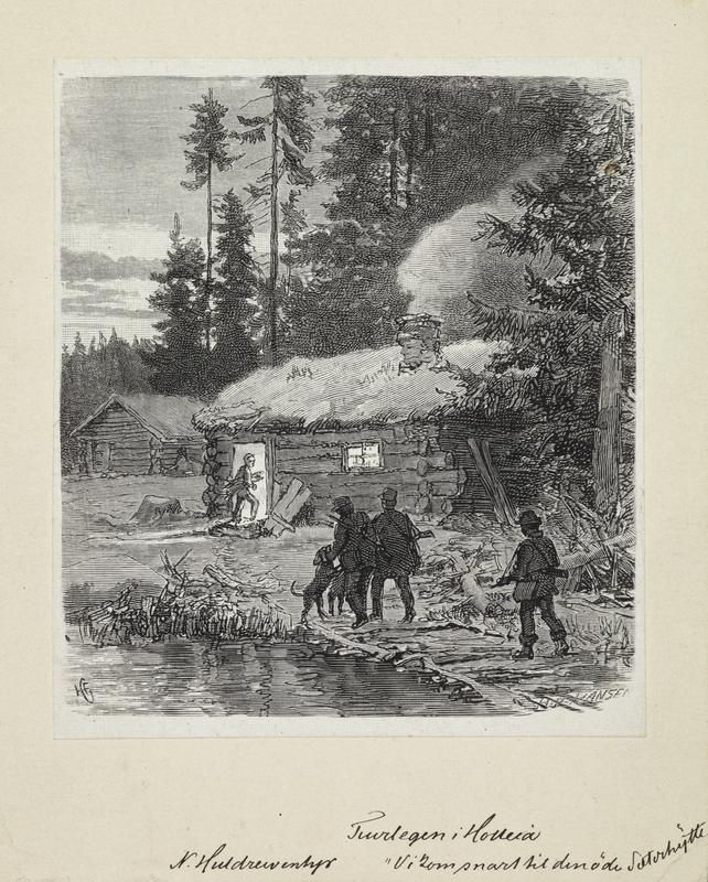 En tiurleik i Holleia [Grafikk]