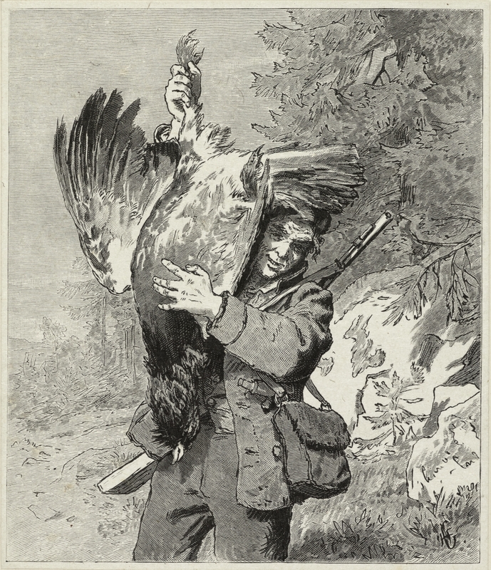 En tiurleik i Holleia [Grafikk]