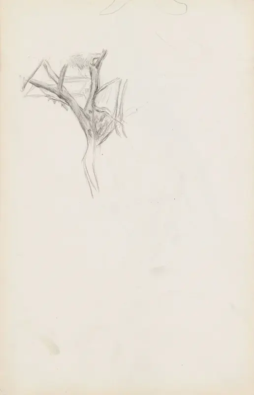Trestudie, Signe Scheel, 1892, drawing