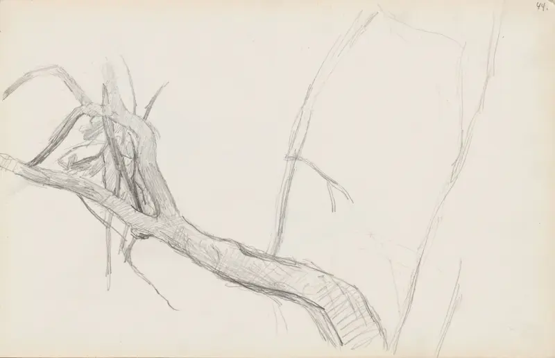 Trestudie, Signe Scheel, 1892, drawing