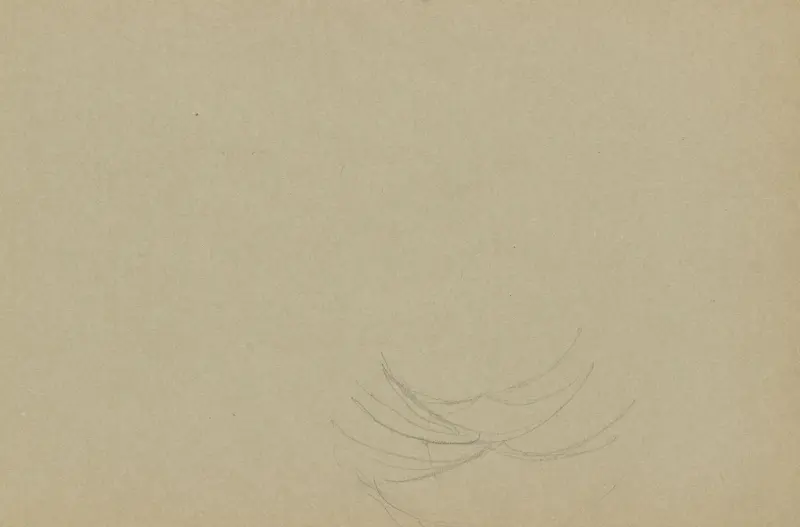 Riss, Signe Scheel, 1897–1898, drawing