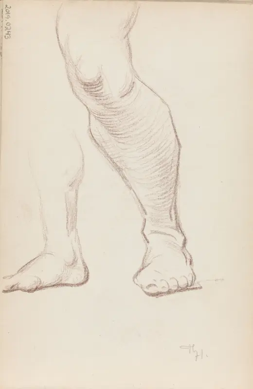 Studie av bein, Thorolf Holmboe, 1890, drawing
