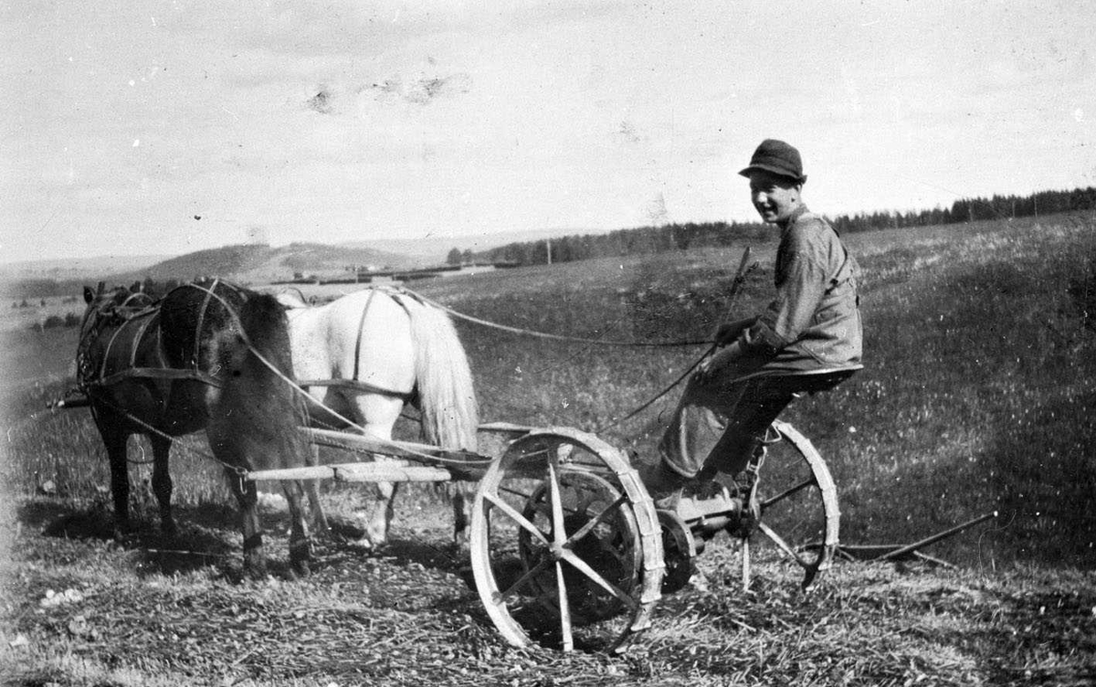 Karl Kragerud på slåmaskin.
Slåmaskin trukket av to hester. Foto/Photo.