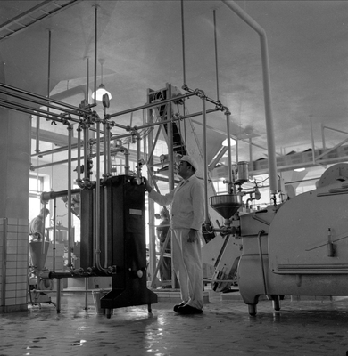 Tørrmelkfabrikk i Brumunddal, Ringsaker, 15.10.1956, produksjonshall, fabrikkarbeider i forgrunnen.. Foto/Photo.
