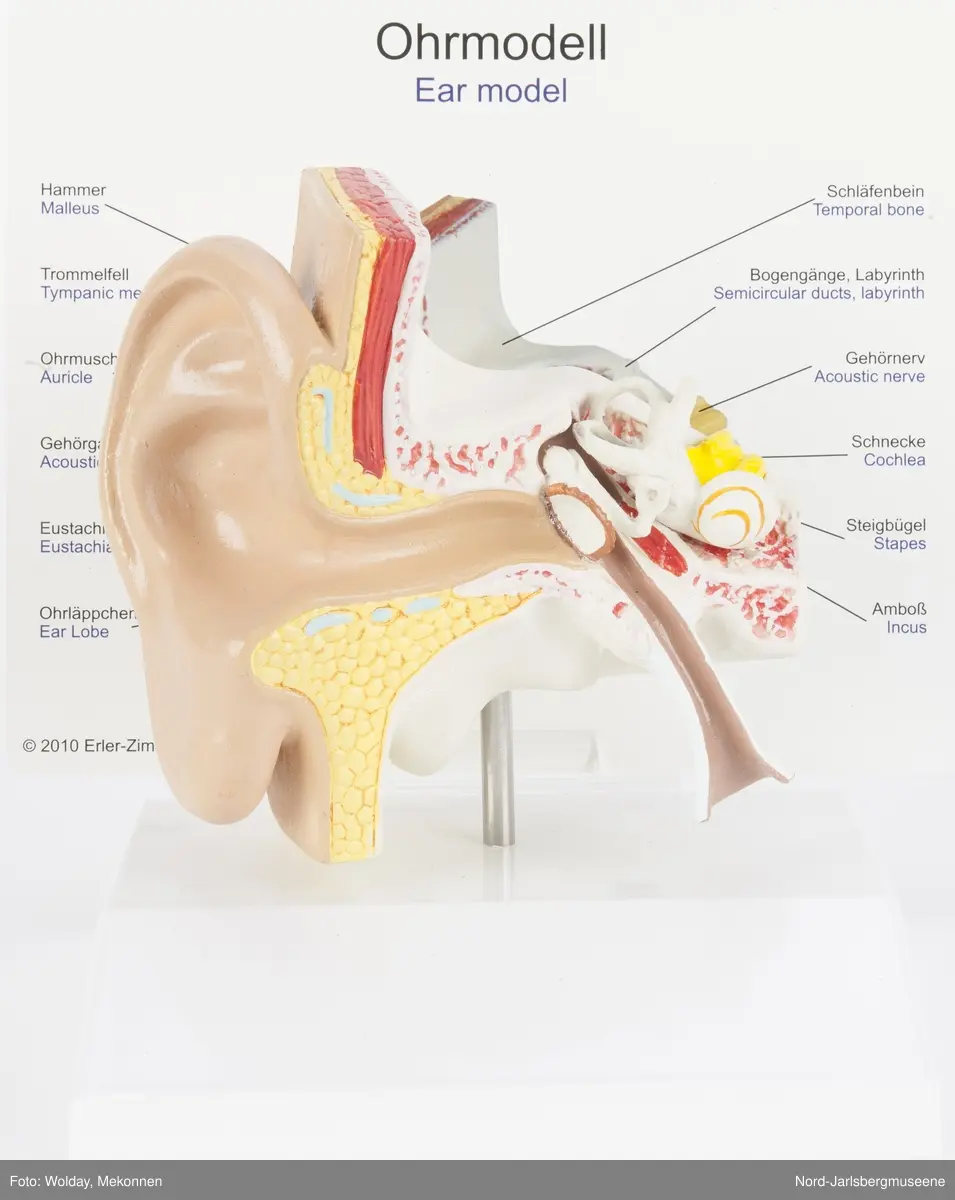 022yiziTwFpc?dimension=1200x1200