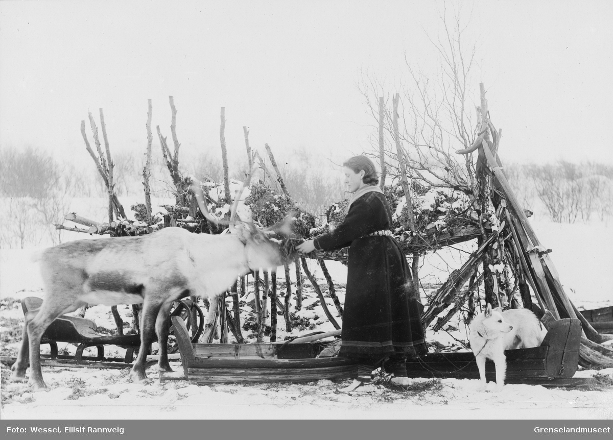 En koftekledt Ellisif Wessel mater kjørereinen ved mosekraken ved Solheim, vinteren 1896.. Foto/Photo.