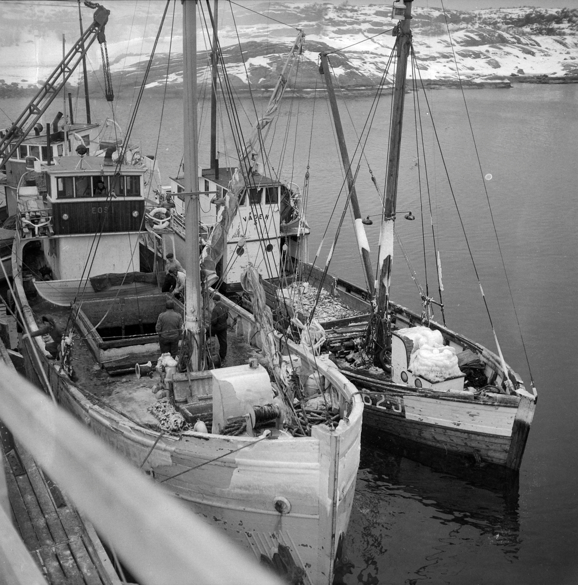 Lysøysund sildoljefabrikk - Sverresborg Trøndelag Folkemuseum ...