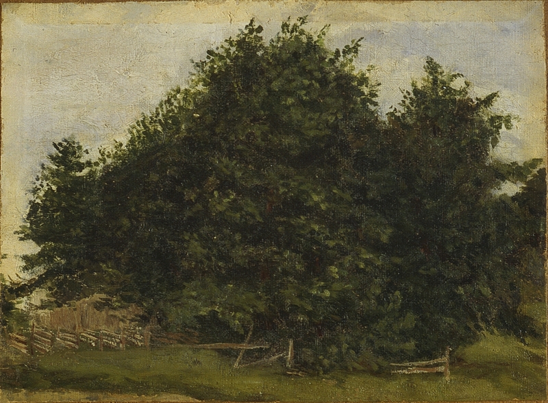 Trær [Maleri]