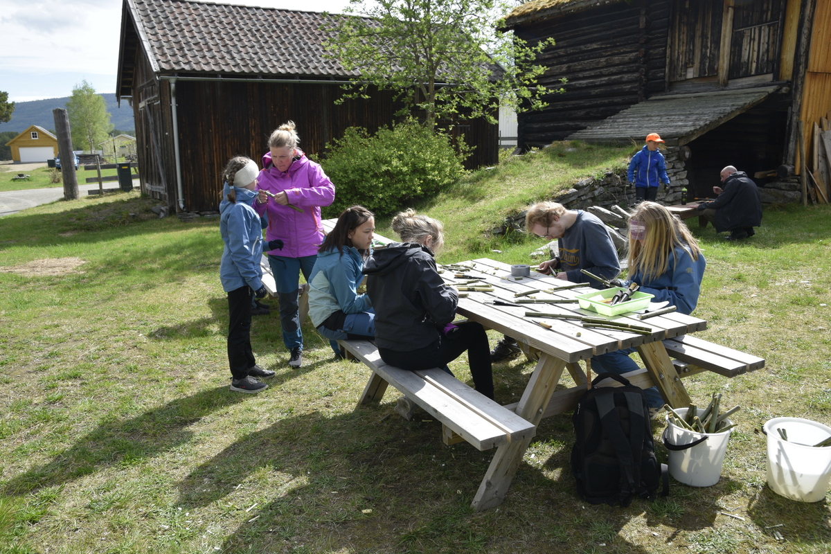 Aktivitetsdag i Museumsparken for 6.trinn ved Tynset Barneskole 4.juni ...