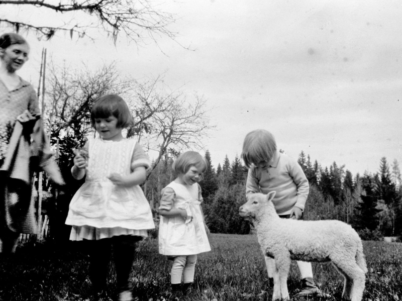 Barn som leker med lam, 1 voksen