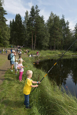 Barn fisker i fiskedammen på Prestøya under Jakt- og Fiskedagene 2014.. Foto/Photo