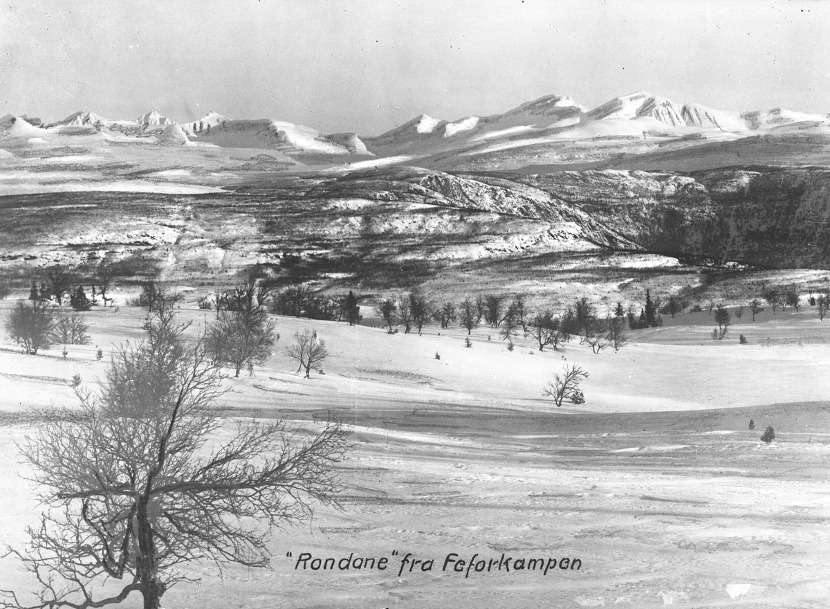 Prot: Fefor Rondane. Foto/Photo.