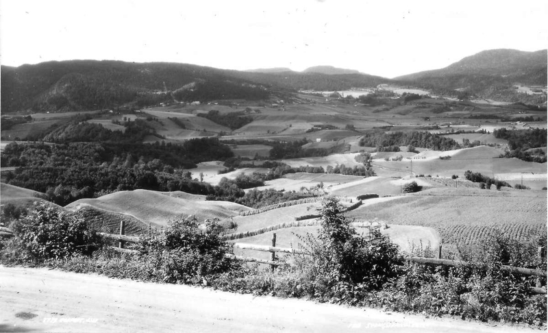 Svangstrand - Lier, Buskerud. 1930. Oversiktsbilde. Dyrket landskap. Gårdsanlegg. Skog. 